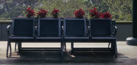 Días 1, 2 y 3: empieza el viaje a Indonesia